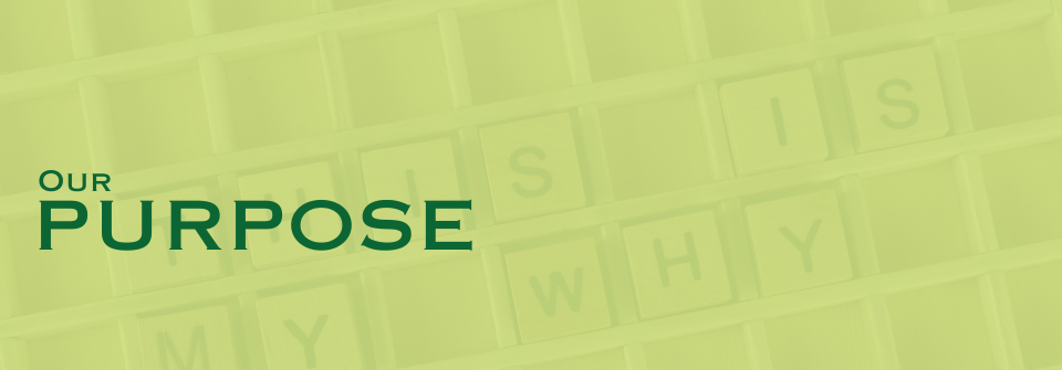 Kausar Purpose Page Banner