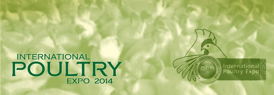 Kausar IPEX Pakistan 2014 Page Banner