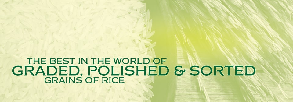 Kausar Rice Specifications Page Banner