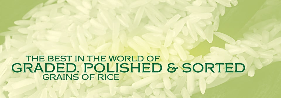 Kausar Rice Standards Page Banner