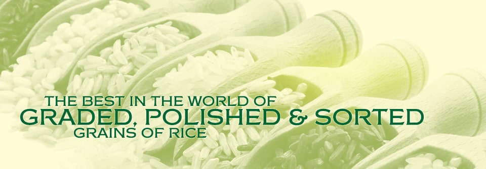 Kausar Rice Varieties Page Banner
