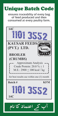 Unique Batch Code Content Image