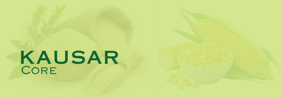 Kausar Kausar Core Page Banner
