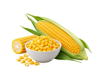 Maize